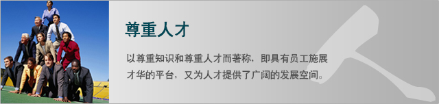 人才理念